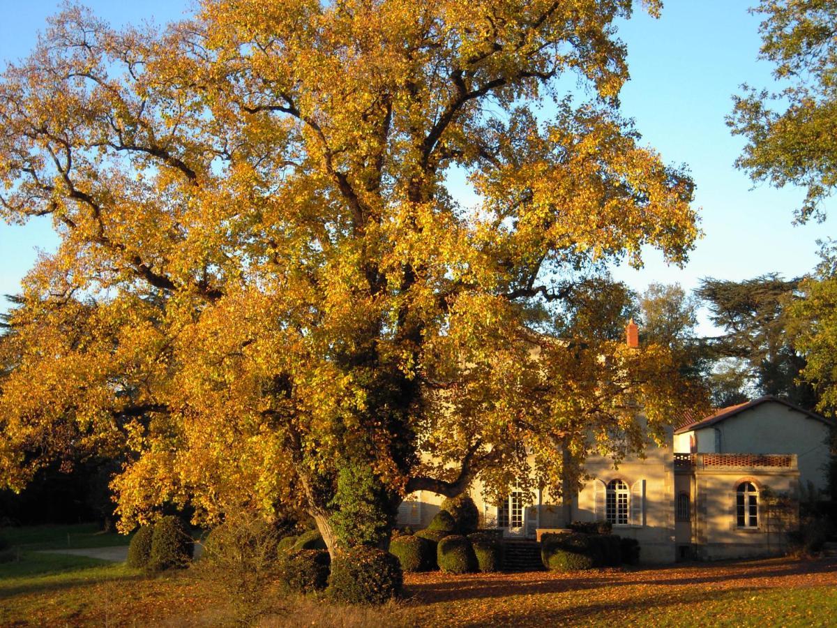 Domaine Des Roches Blanches Villa Le Pin  Buitenkant foto