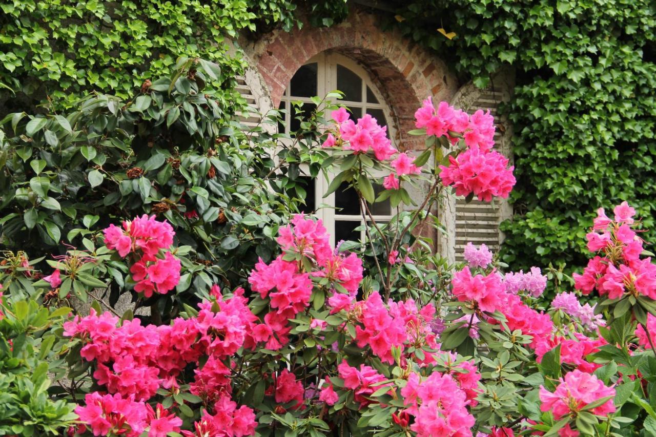 Domaine Des Roches Blanches Villa Le Pin  Buitenkant foto
