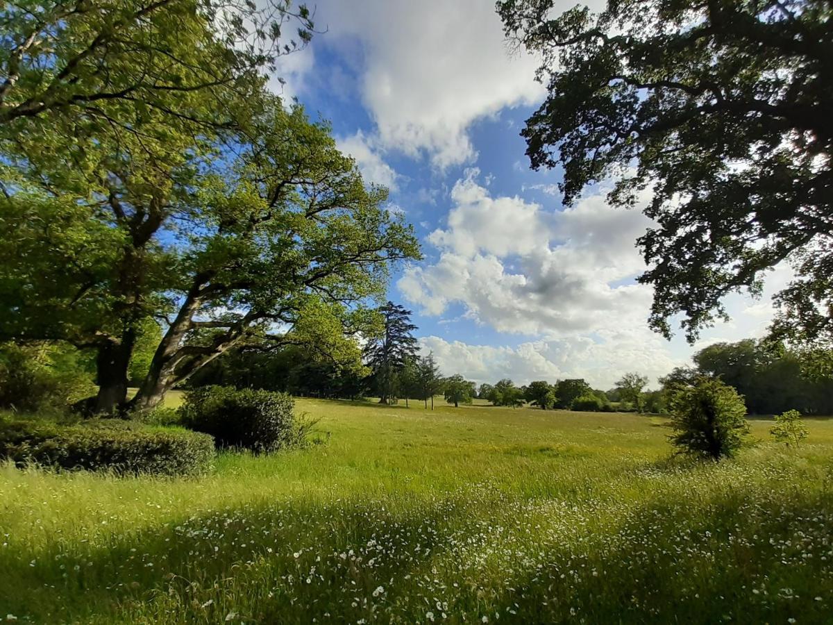 Domaine Des Roches Blanches Villa Le Pin  Buitenkant foto