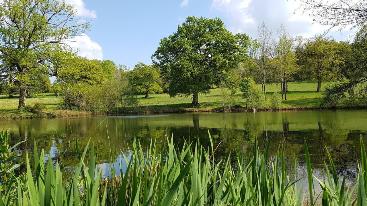 Domaine Des Roches Blanches Villa Le Pin  Buitenkant foto
