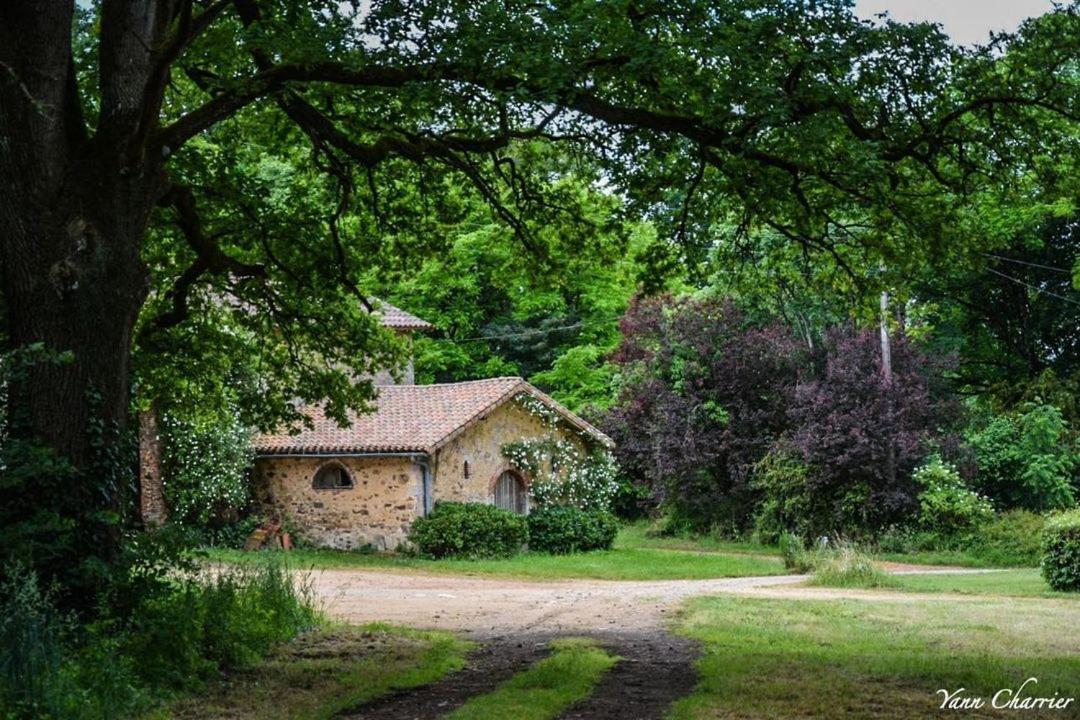 Domaine Des Roches Blanches Villa Le Pin  Buitenkant foto