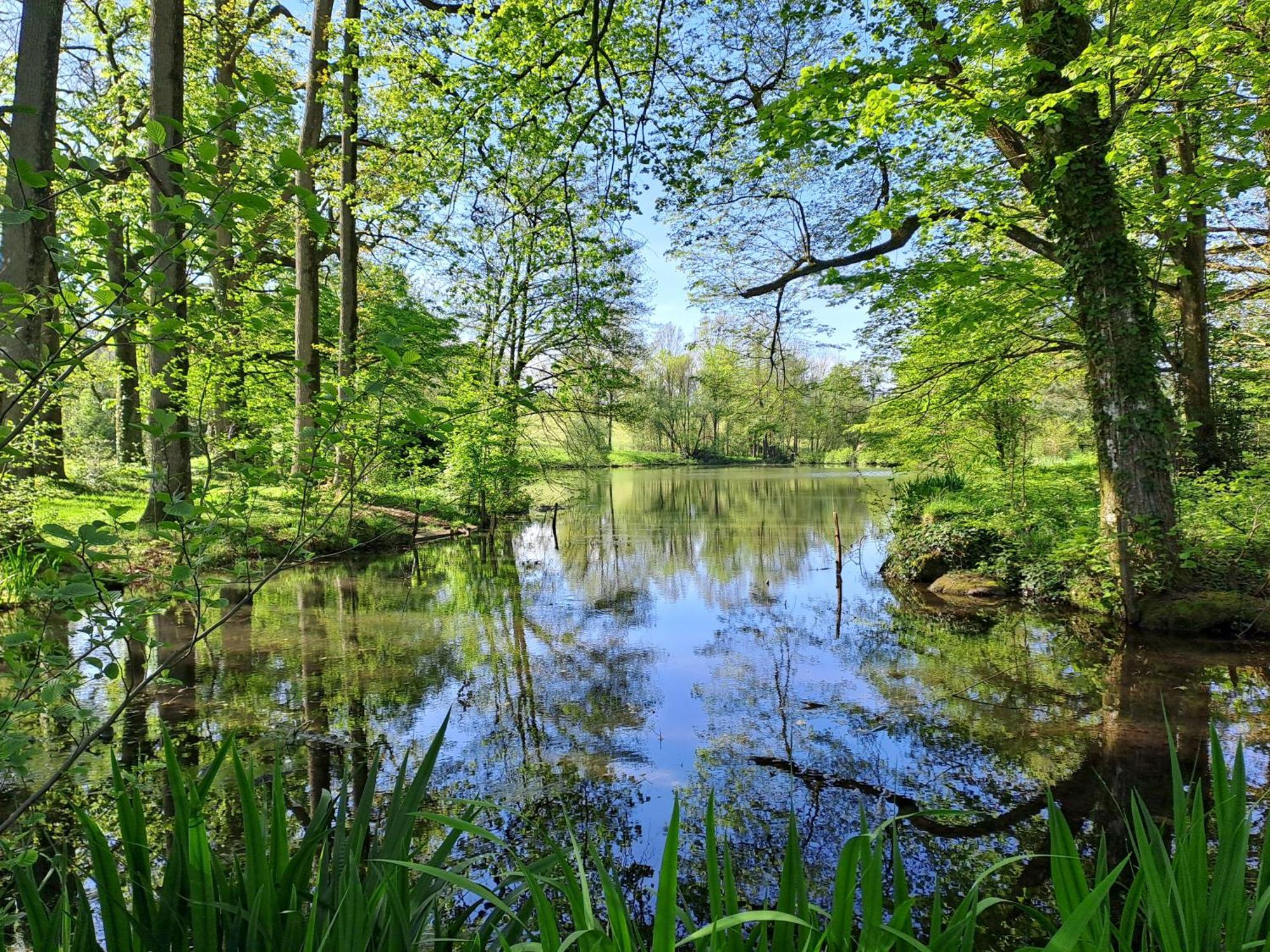 Domaine Des Roches Blanches Villa Le Pin  Buitenkant foto