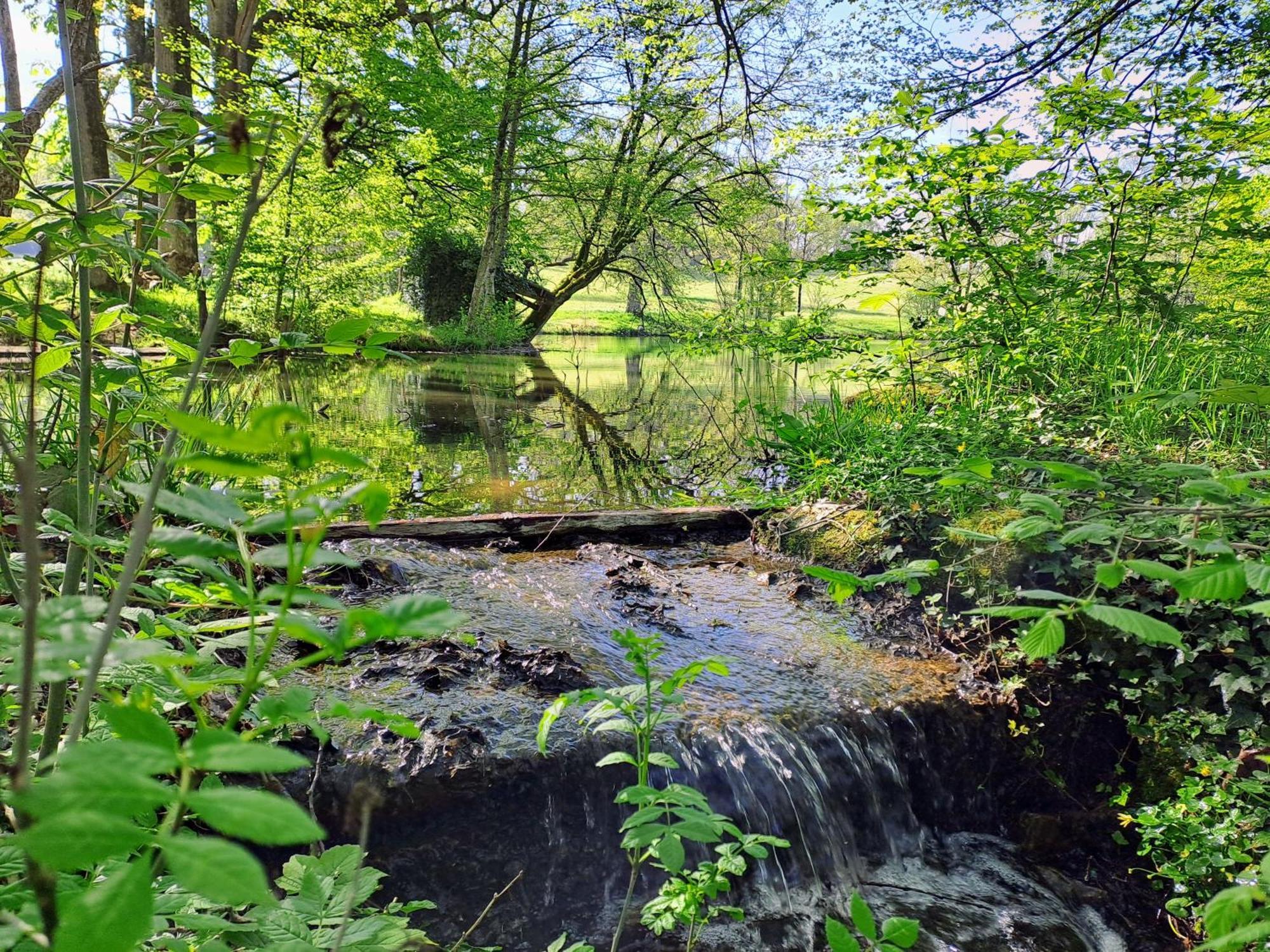 Domaine Des Roches Blanches Villa Le Pin  Buitenkant foto