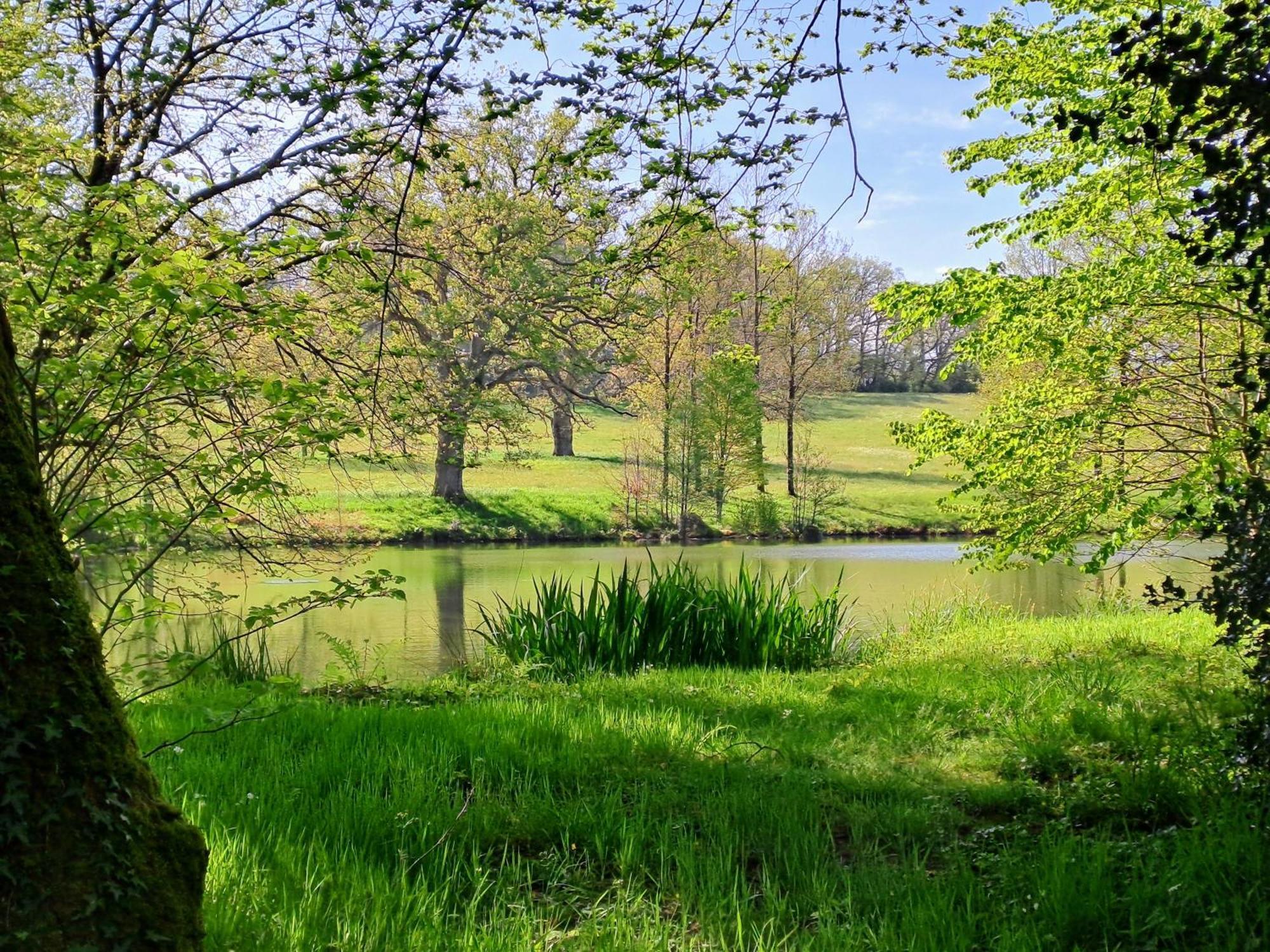 Domaine Des Roches Blanches Villa Le Pin  Buitenkant foto