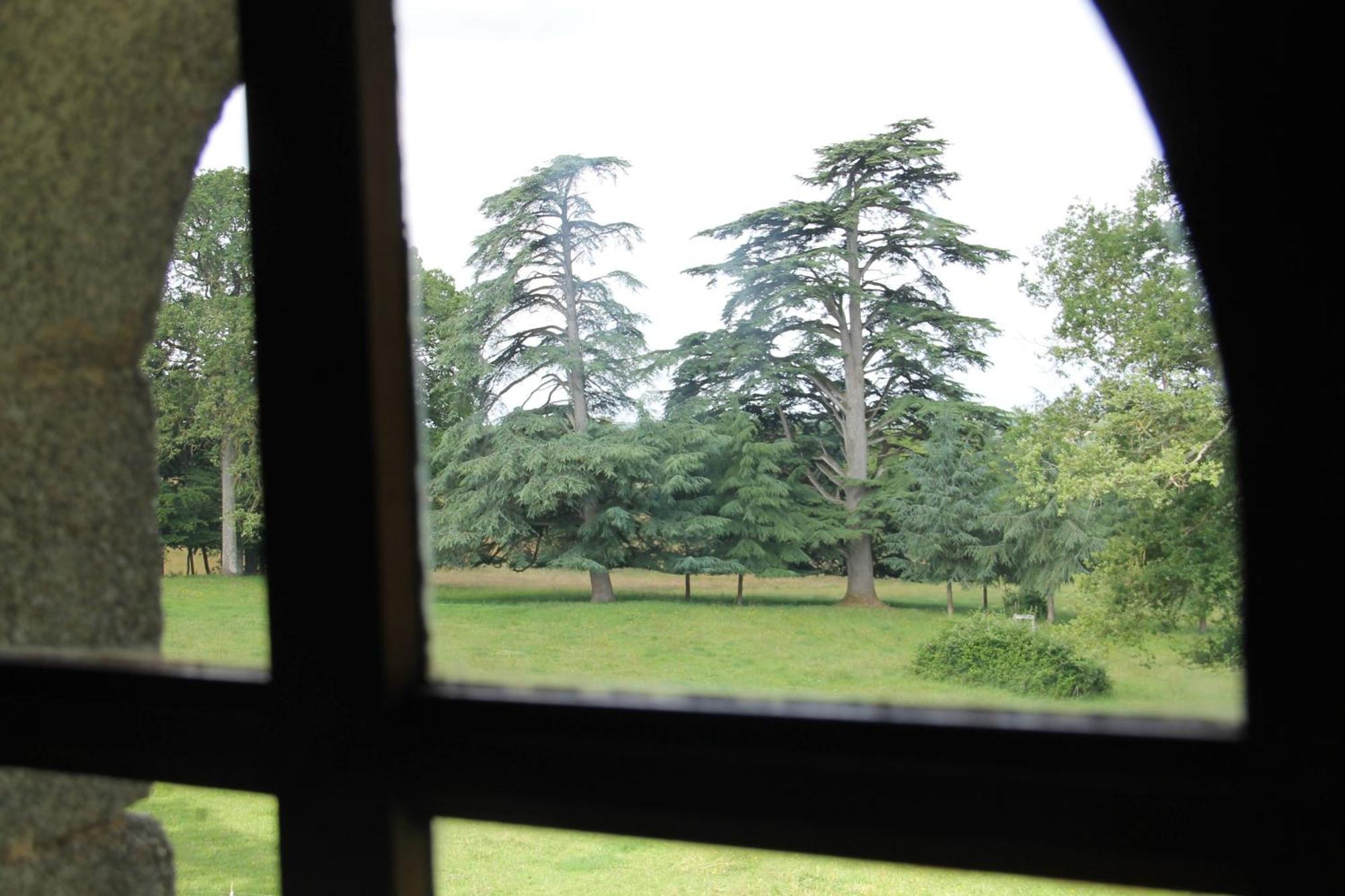 Domaine Des Roches Blanches Villa Le Pin  Buitenkant foto