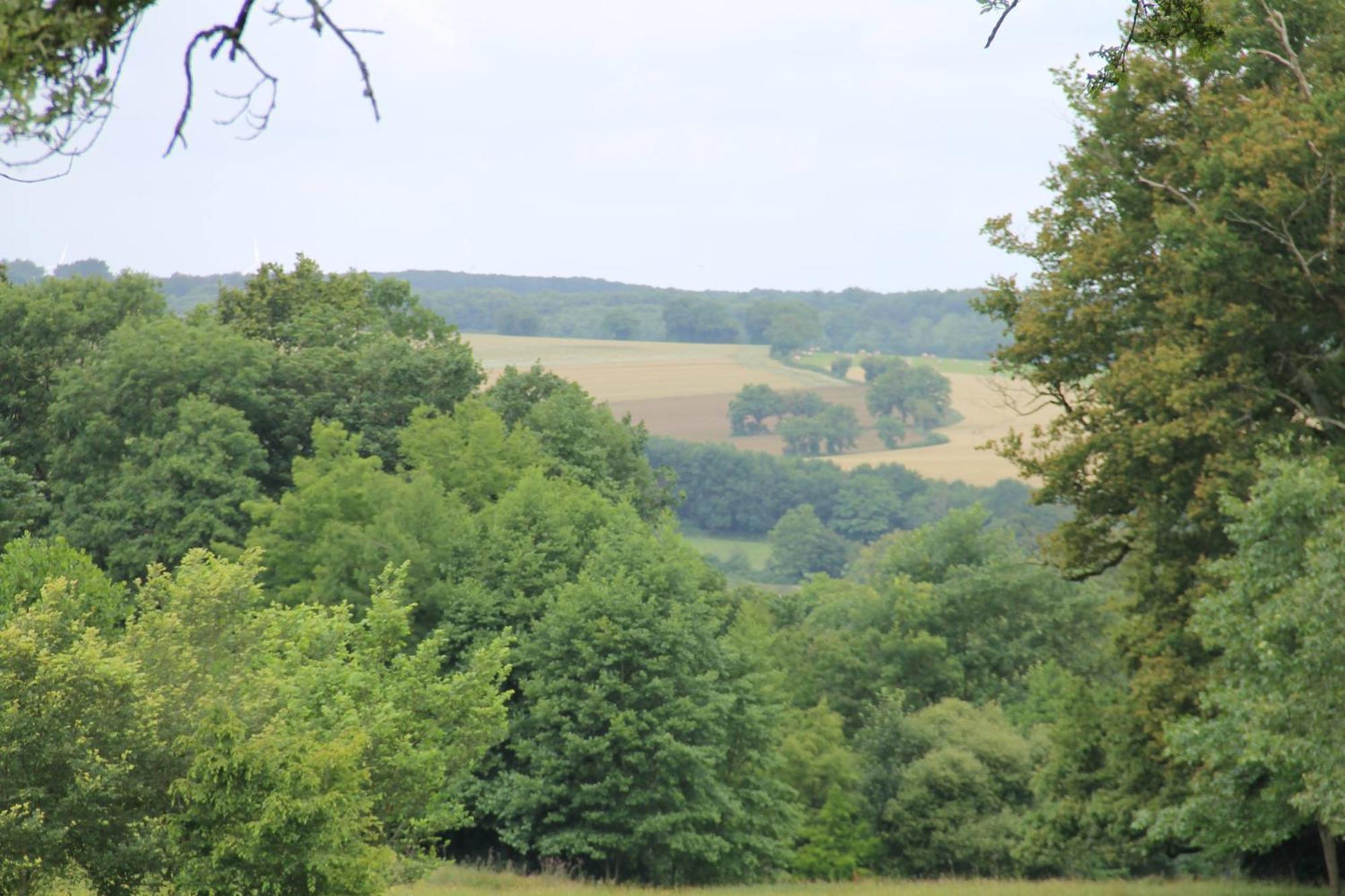 Domaine Des Roches Blanches Villa Le Pin  Buitenkant foto