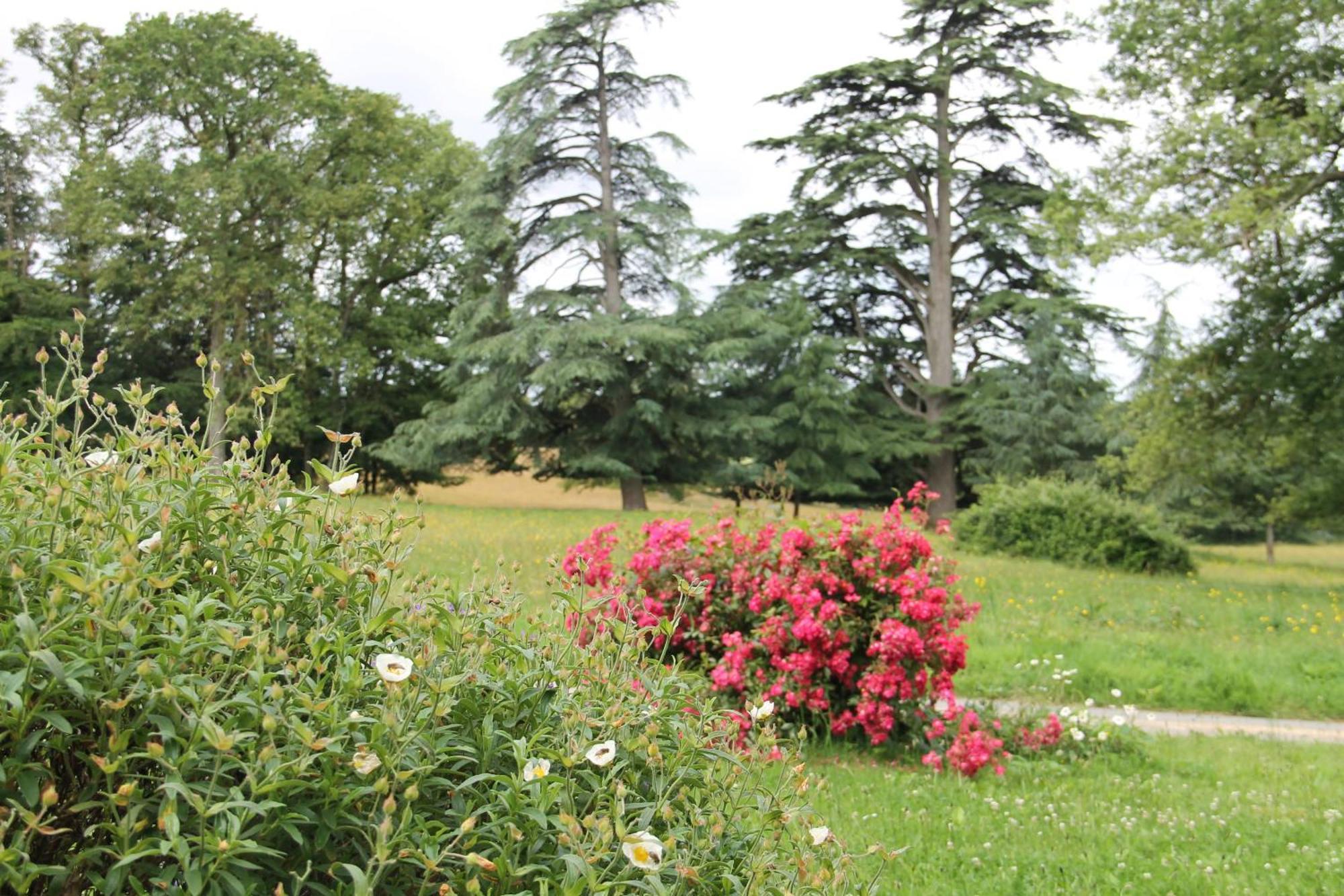 Domaine Des Roches Blanches Villa Le Pin  Buitenkant foto