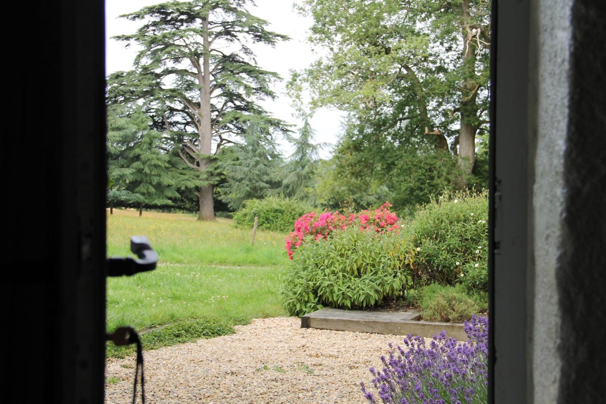 Domaine Des Roches Blanches Villa Le Pin  Buitenkant foto