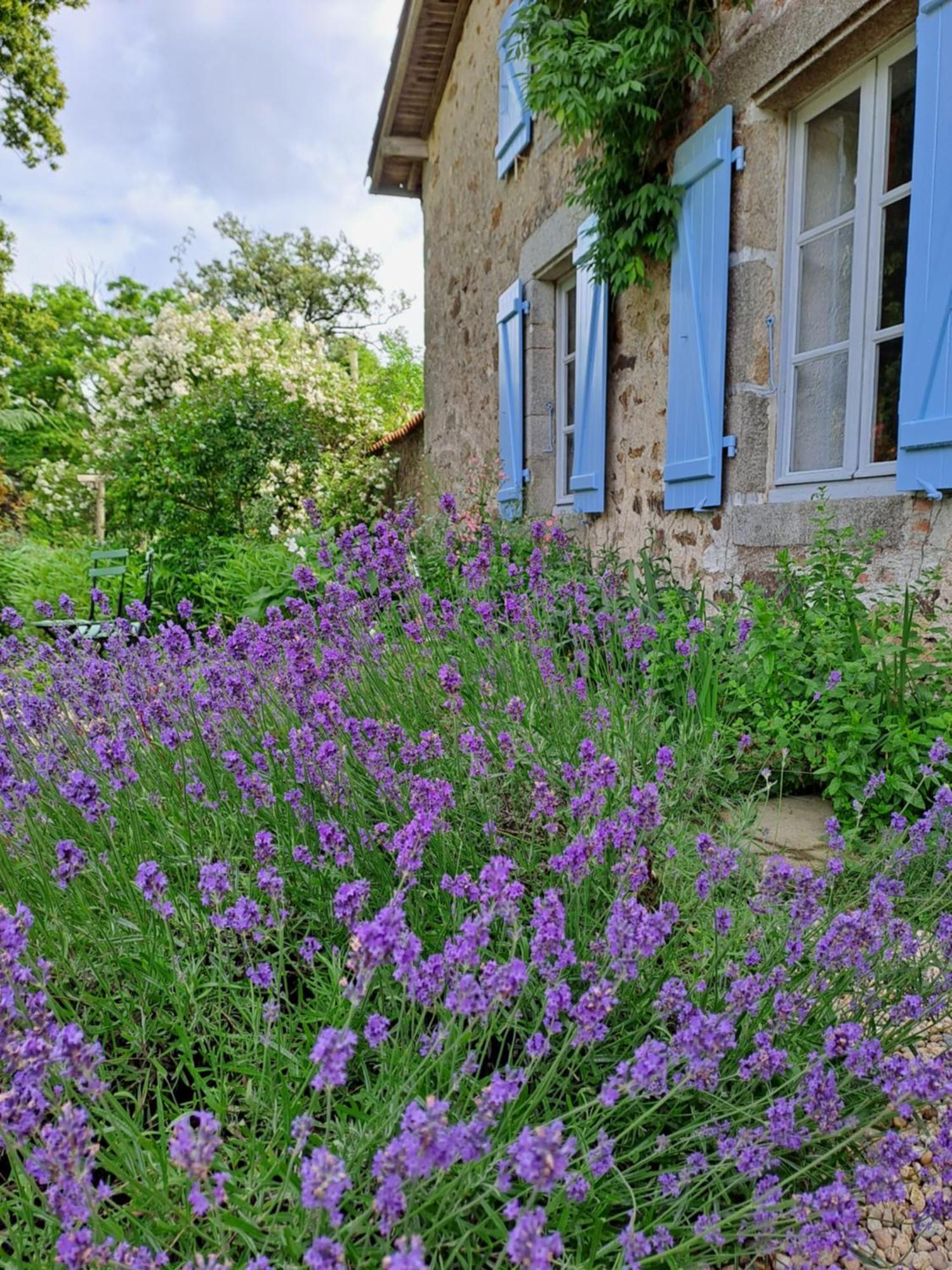 Domaine Des Roches Blanches Villa Le Pin  Buitenkant foto