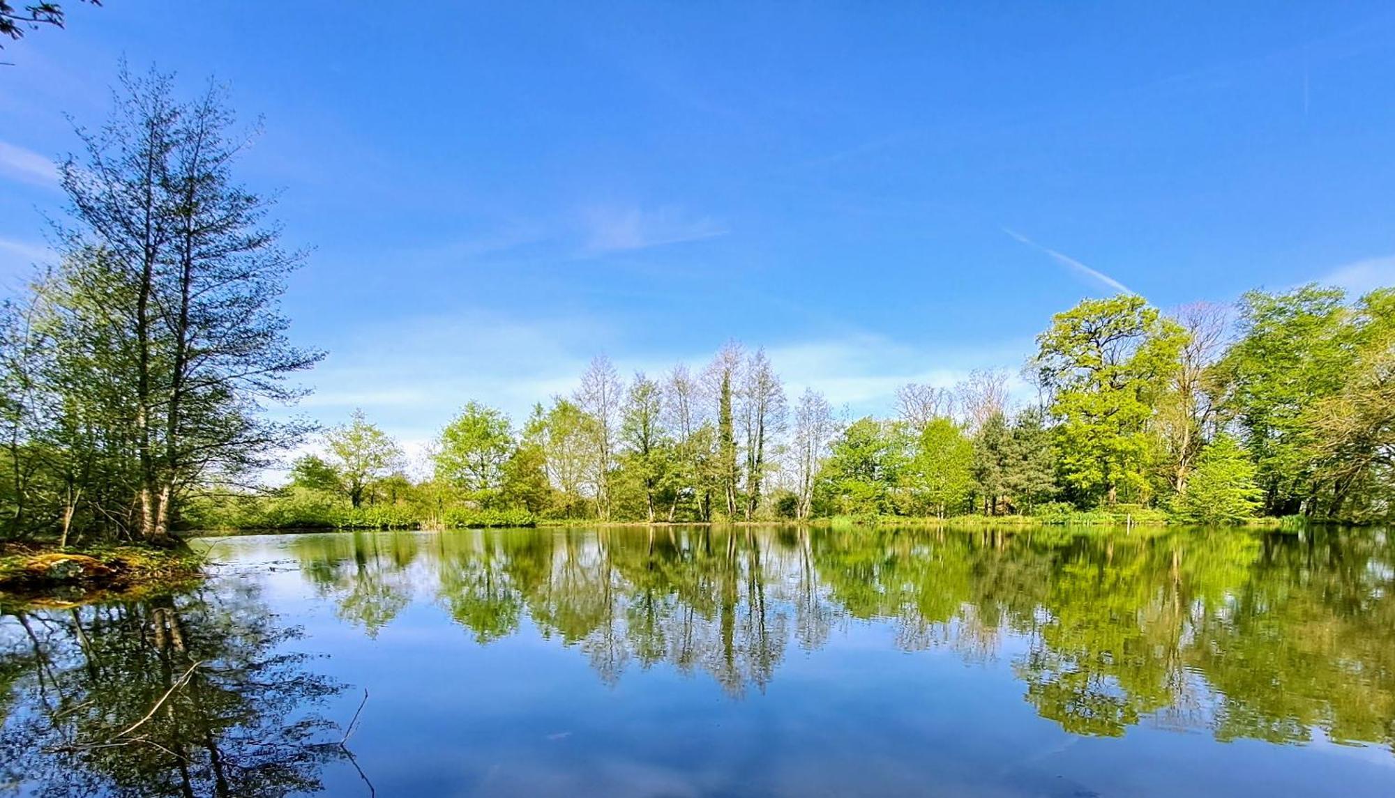 Domaine Des Roches Blanches Villa Le Pin  Buitenkant foto