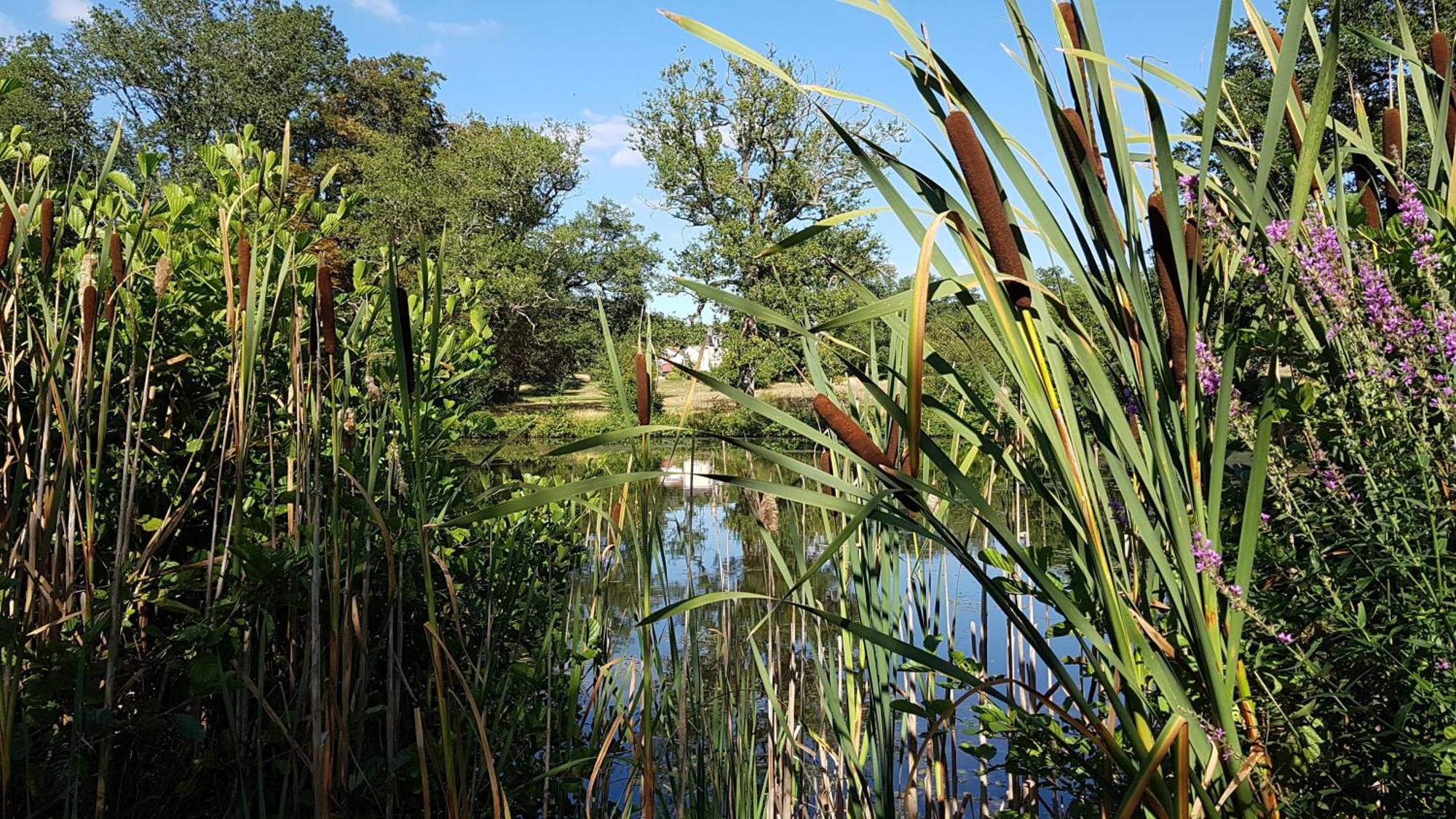 Domaine Des Roches Blanches Villa Le Pin  Buitenkant foto