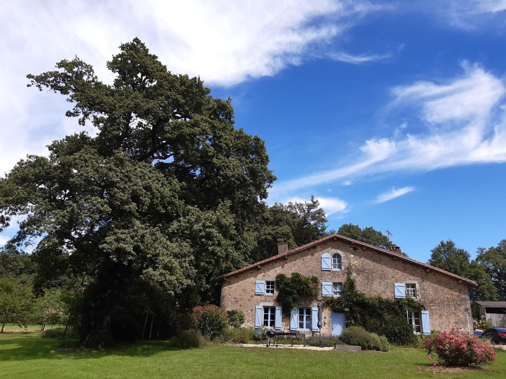Domaine Des Roches Blanches Villa Le Pin  Buitenkant foto